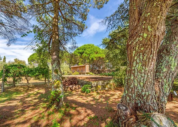 Pensjonat Portugal Active Oliveiras Farm Viana do Castelo