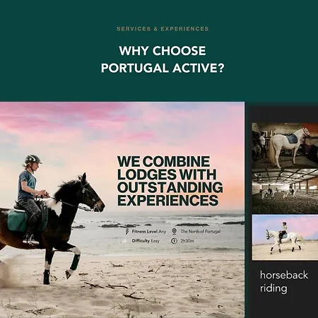 Portugal Active Oliveiras Farm * Viana do Castelo