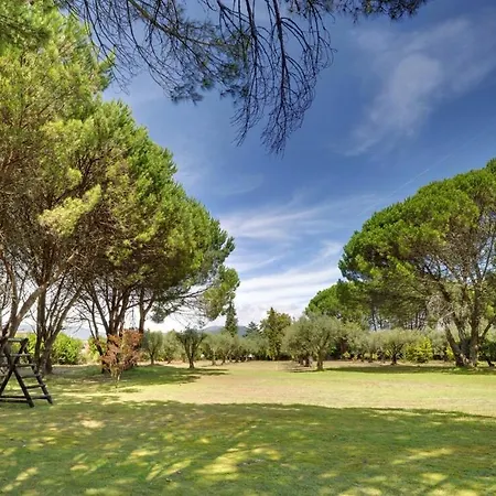 Country house Portugal Active Oliveiras Farm *
