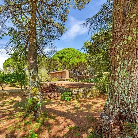 Country house Portugal Active Oliveiras Farm Viana do Castelo
