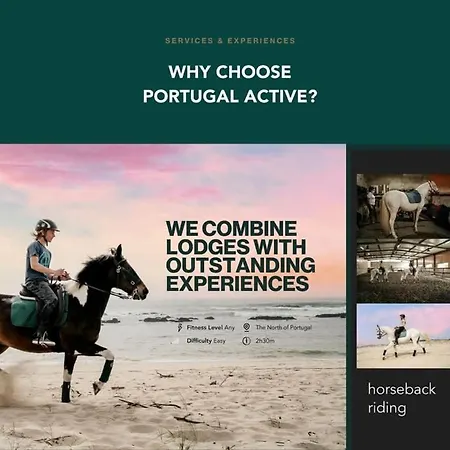 Portugal Active Oliveiras Farm וילה